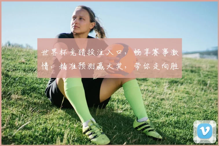 世界杯竞猜投注入口，畅享赛事激情，精准预测赢大奖，带你走向胜利之路