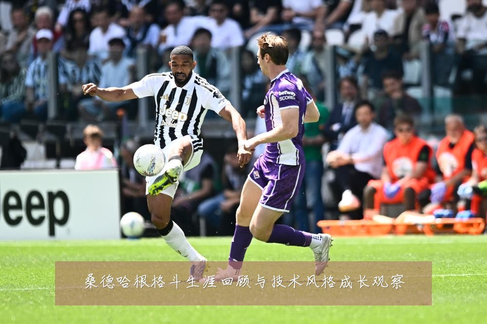 桑德哈根格斗生涯回顾与技术风格成长观察