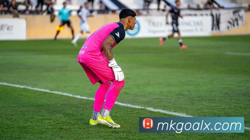 MK体育平台展示图