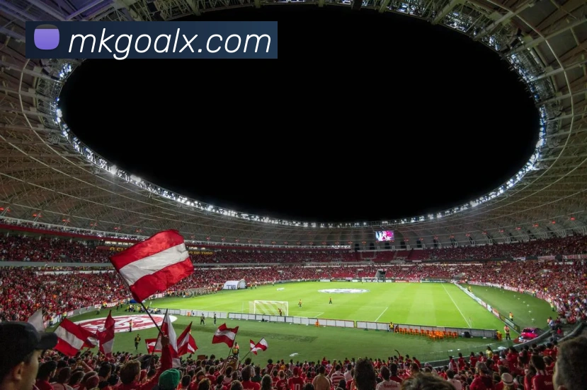 MK平台精选推荐助你高效发现优质内容与热门资源